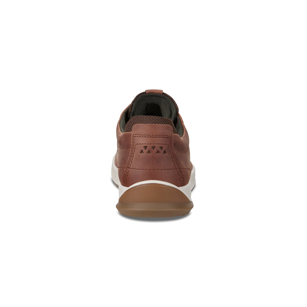 ECCO Mens Sneakers Brown - Byway Treds - NYS-560134